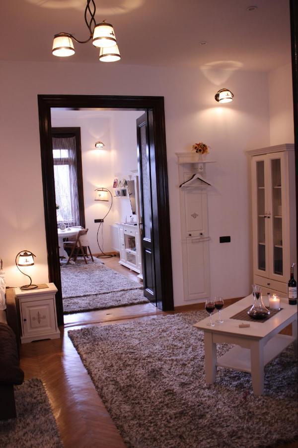 Ella Apartment Timisoara No11 Extérieur photo